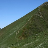 Pohod na golico